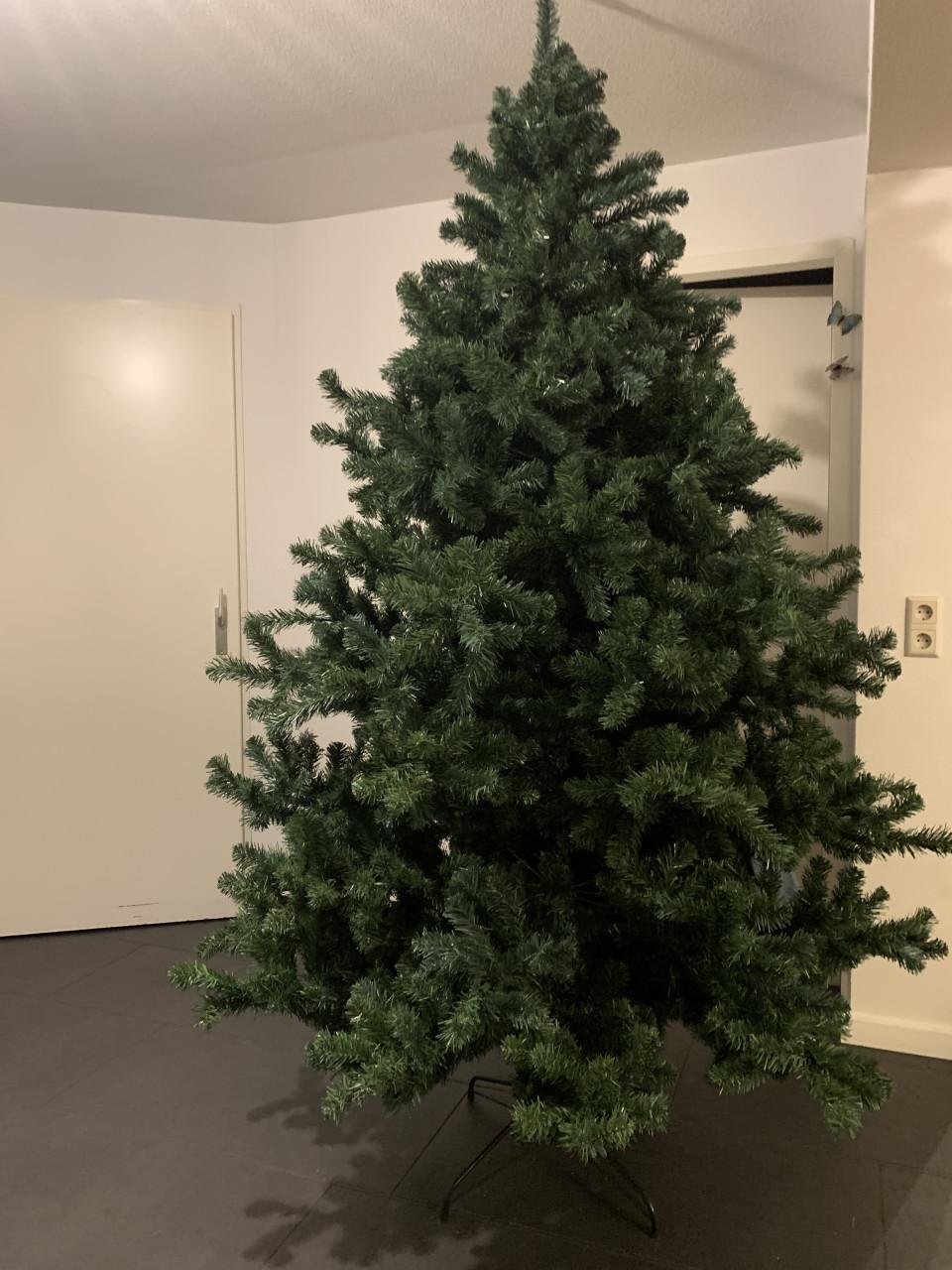 Kerstboom 2.40  m hoog  1.45 m breed