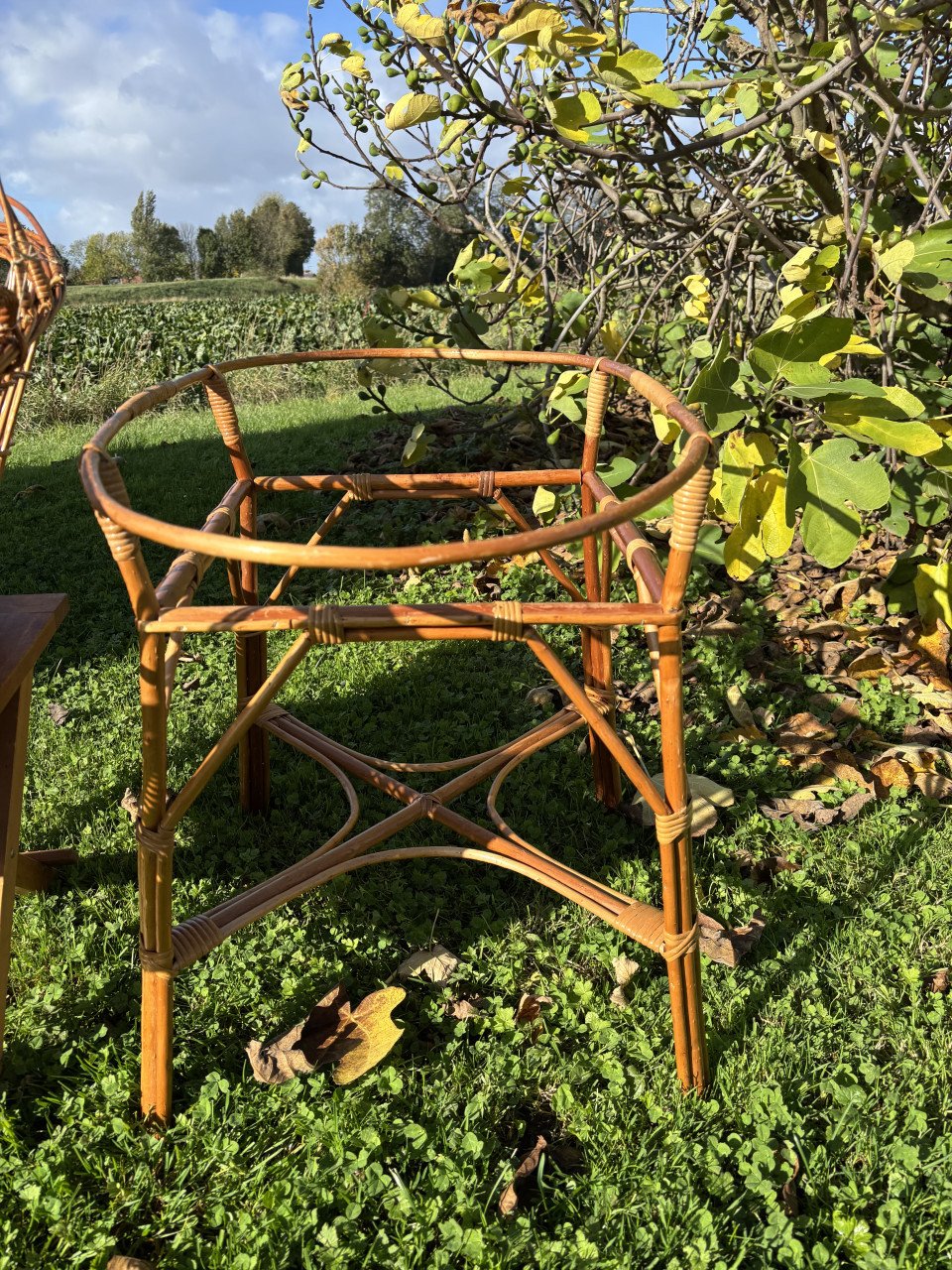 Wieg met los onderstel in rotan + gratis badje (Ikea - wit)