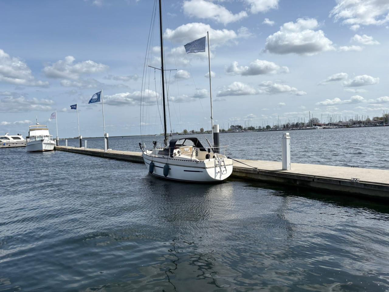 Te koop: Piewiet 700