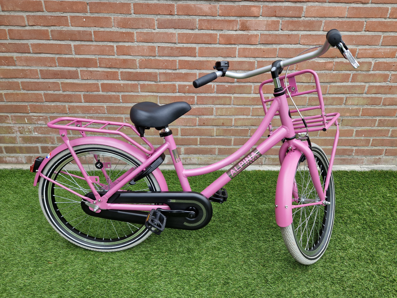 Alpina Cargo 20 inch SUPER STAAT