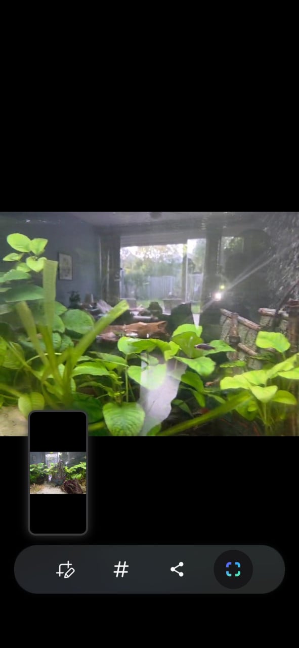 2 meter aquarium met vissen, inrichting en techniek