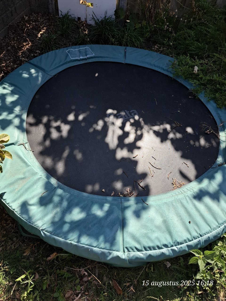 Trampoline