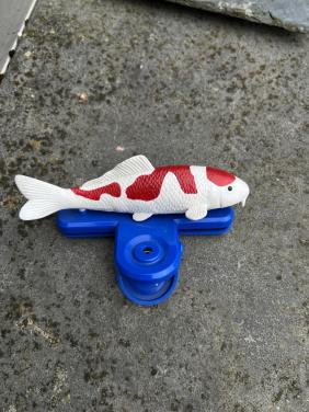 Klem met koi