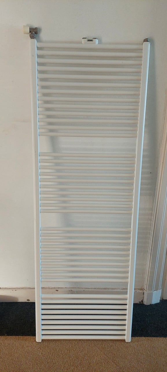 Radiator wit Vasco badkamer