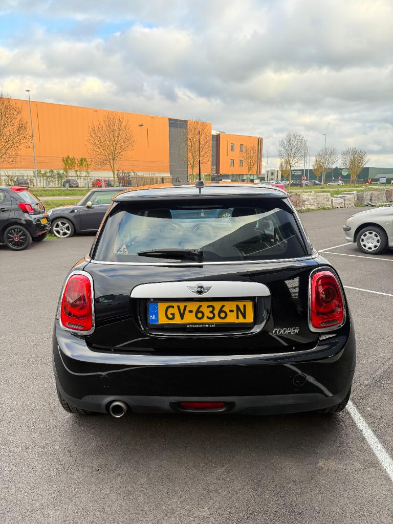 Mini Cooper 1.5 - business