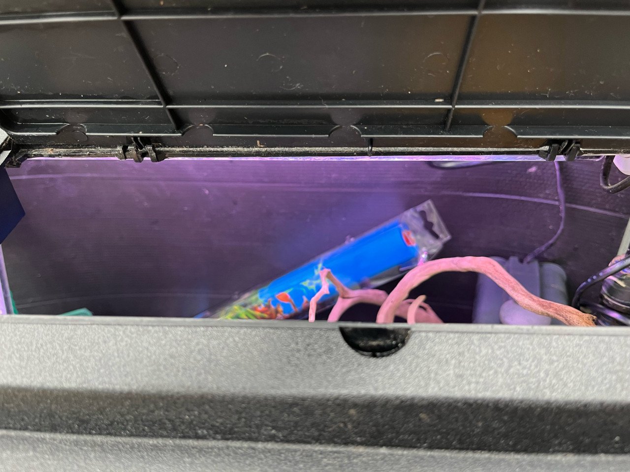 Groot aquarium met alle toebehoren