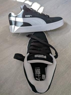Puma