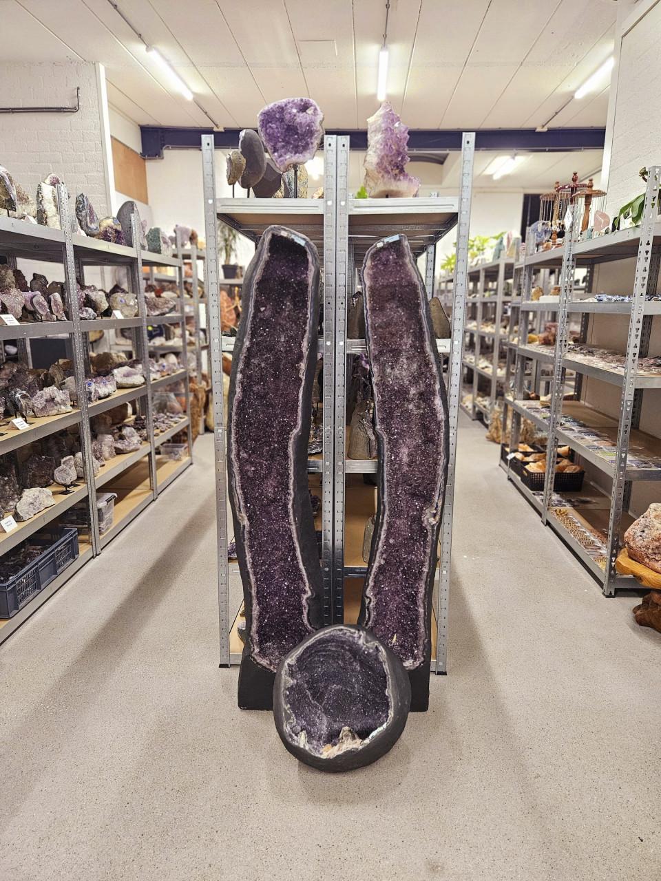 15 maart belevingsdag