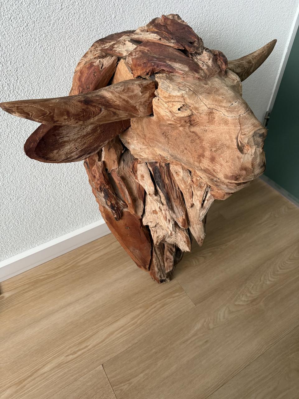Grote teak houten Bison kop