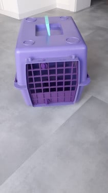 Katten reismand
