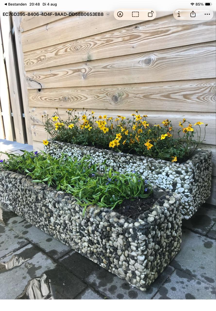 2 plantenbakken kiezelstenen op beton 80cm