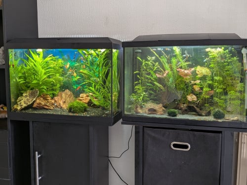 Aquarium