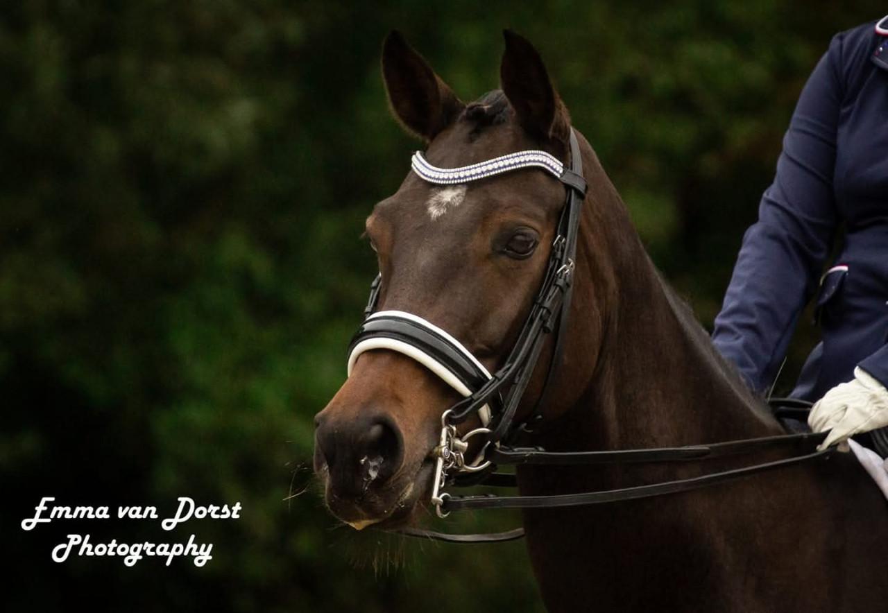 Gezocht: verzorg(st)er