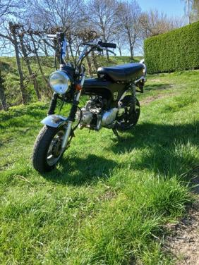 Te koop, stoere brommer Honda Dax