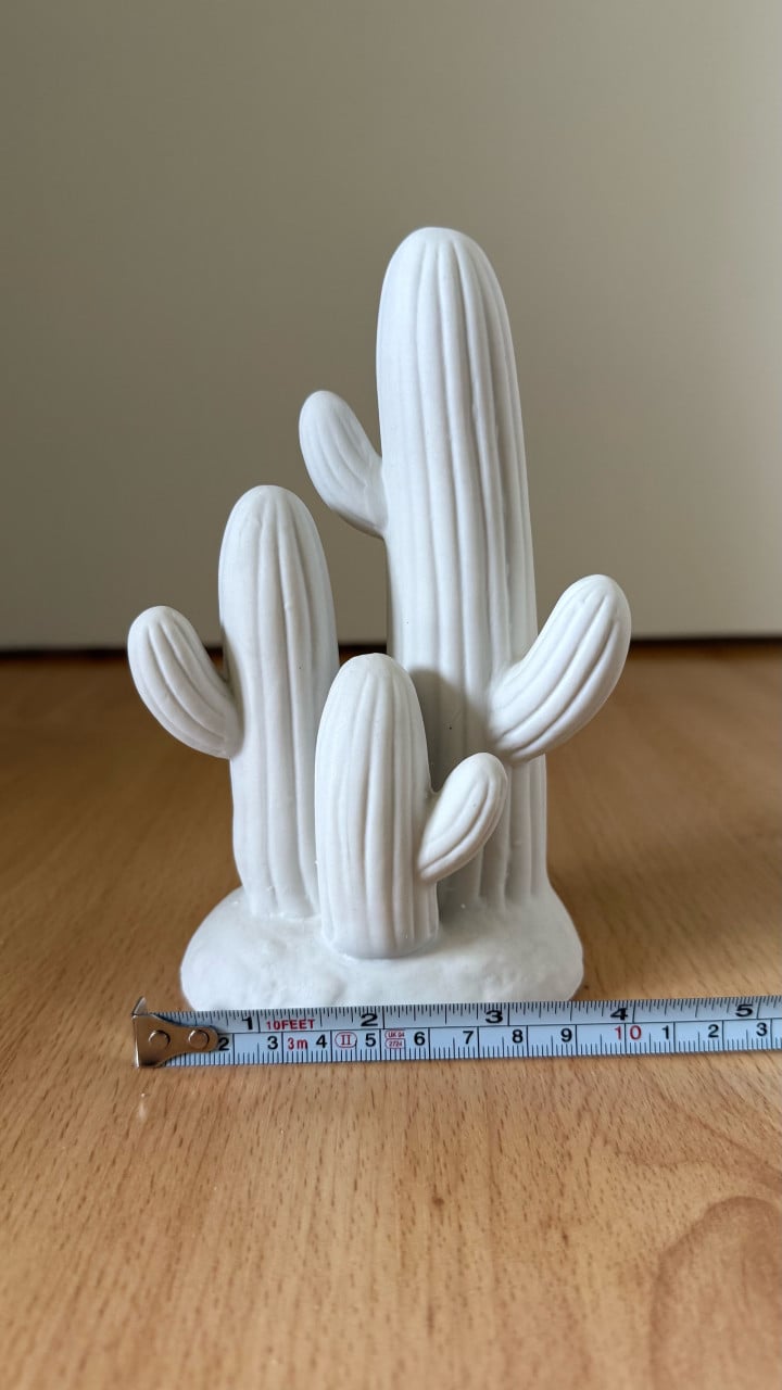 Decoratie Cactus