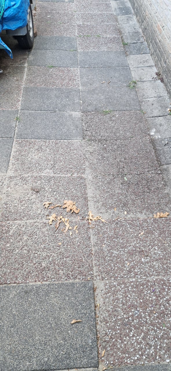 Tuin tegel
