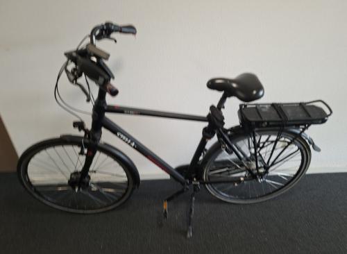 Electrische Herenfiets