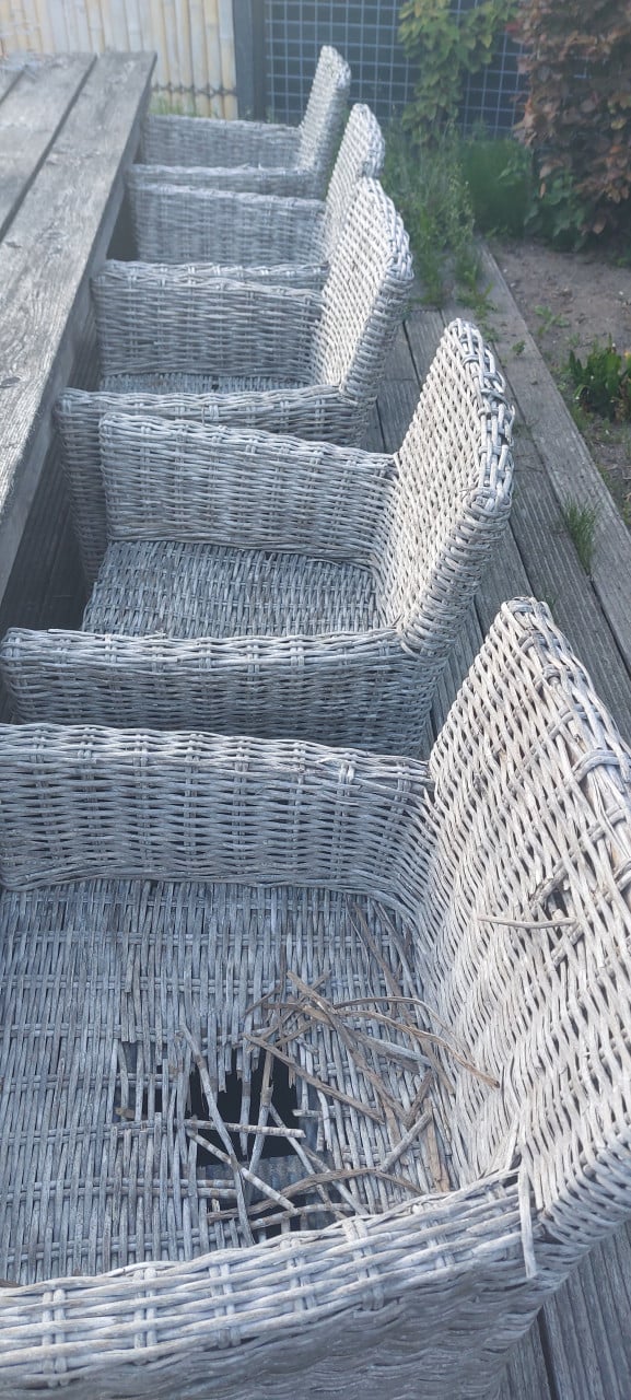 GRATIS Rieten tuinstoelen in slechte staat