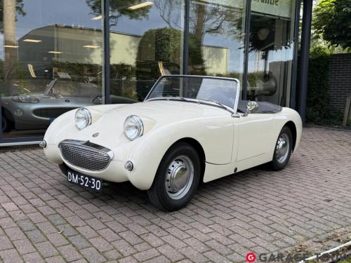 Austin Healey Onbekend sprite mk1 frogeye