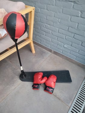 Boksbal + bokshandschoenen