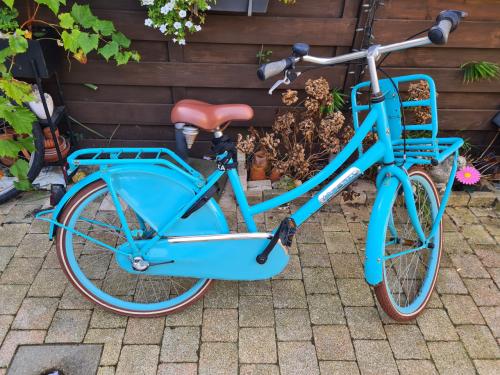 Popal Daily Dutch transportfiets 24 inch