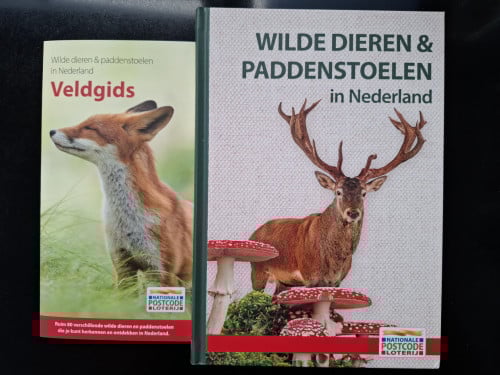 Wilde dieren en paddenstoelen in Nederland