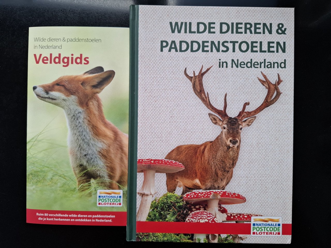 Wilde dieren en paddenstoelen in Nederland