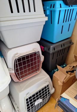 Diverse reismanden voor katten
