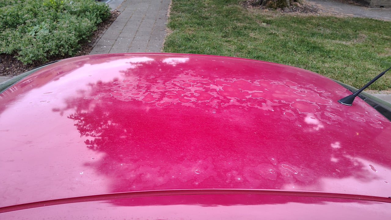 Alfa Romeo GT 1.8 Twin Spark Progression