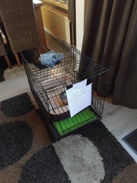 1  Bench voor evt Hond of ander huis dier
