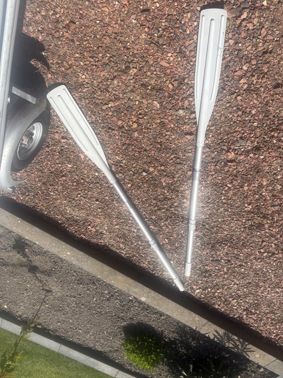 Brig 310 rubberboot + 15 pk Suzuki incl trailer