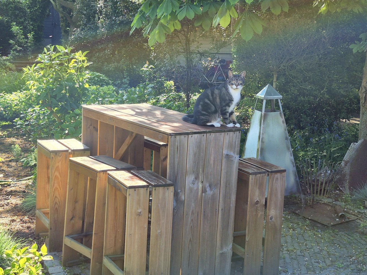 Heerlijke houten hoge bar met 6 krukken