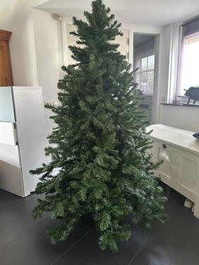 Kerstboom Gross Clockner 2.15 hoog 1,50 breed Triumph tree Intratuin