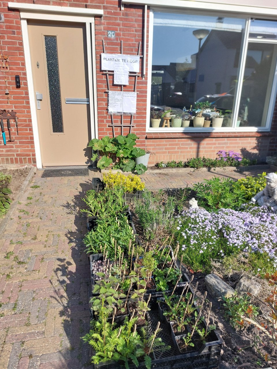 SIERTUIN EN MOESTUIN PLANTEN + BOMEN bij DE VOORDEUR