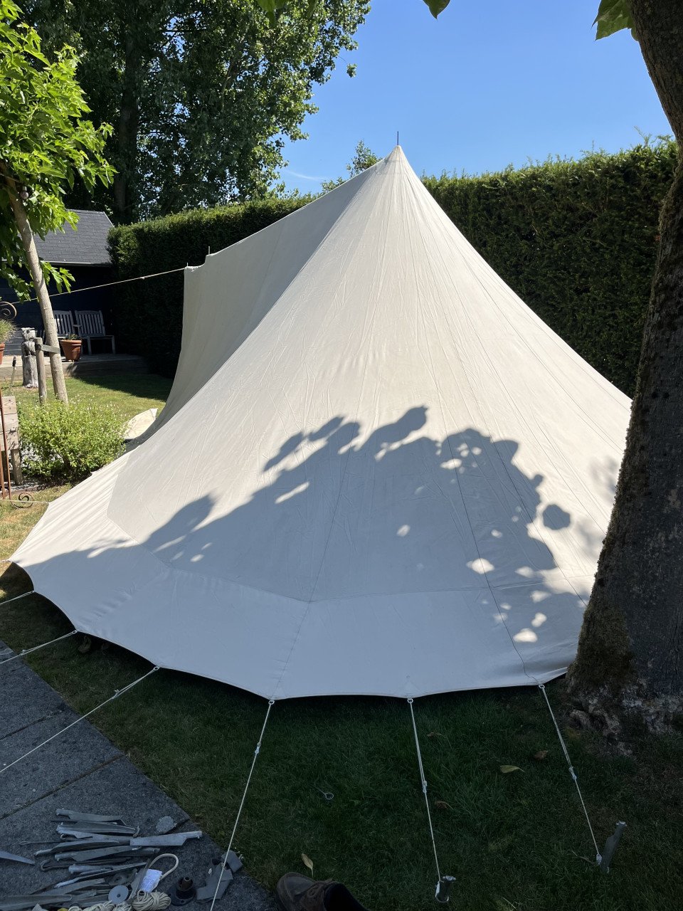 Te koop: De Waard tent Albatros