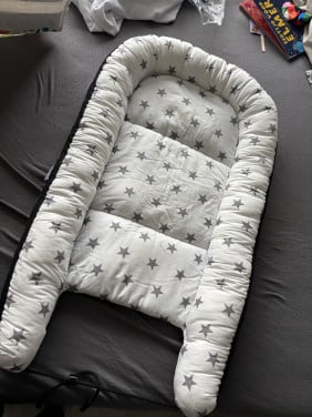 Babynestje
