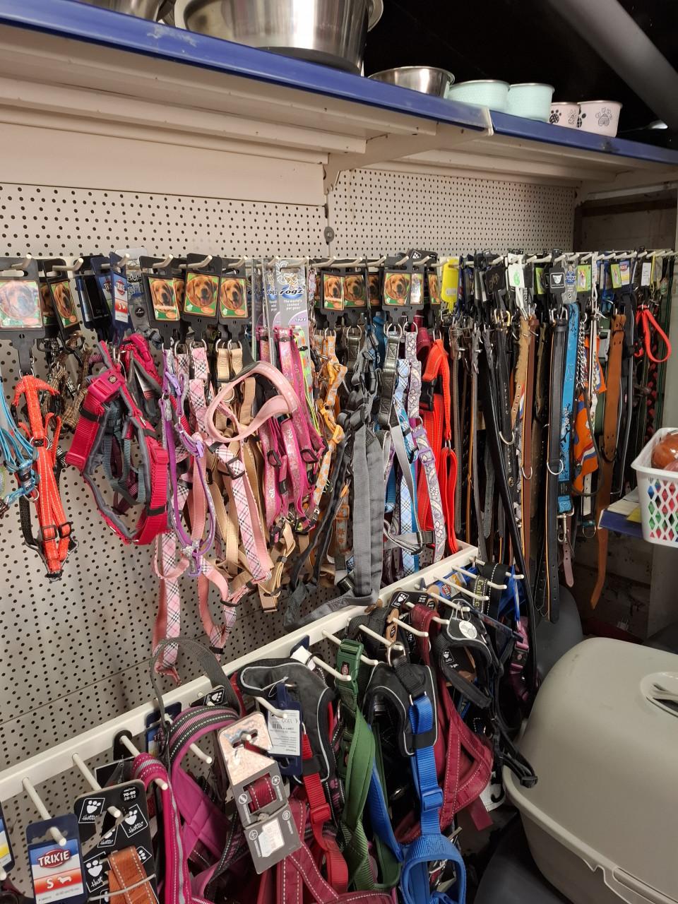 50 % KORTING op alle hondenriemen, tuigjes enz.