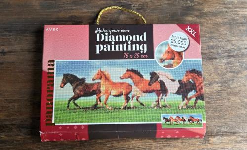 🤩 Diamond Painting XXL.