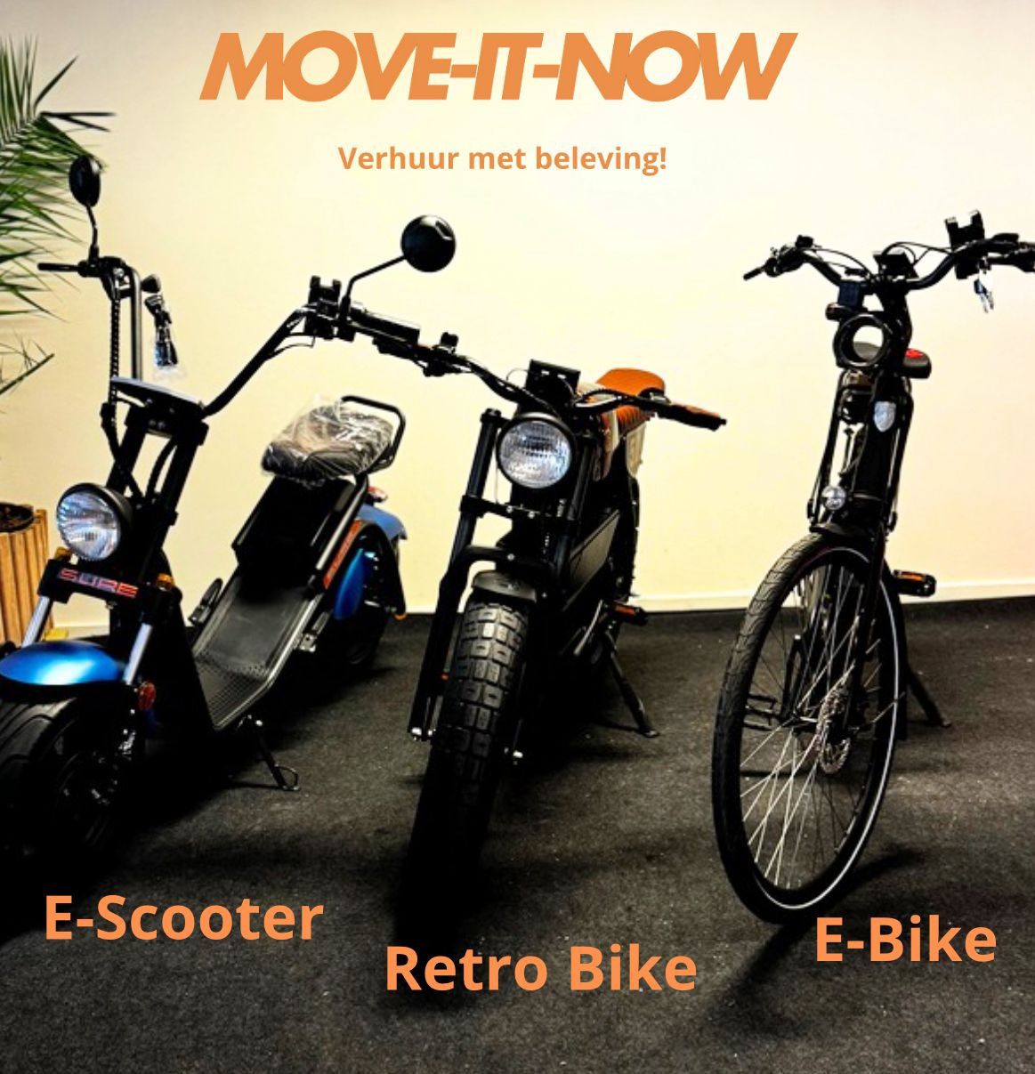 MOVE-IT-NOW  Kamperland,  ( 2e PINKSTERDAG GEOPEND )