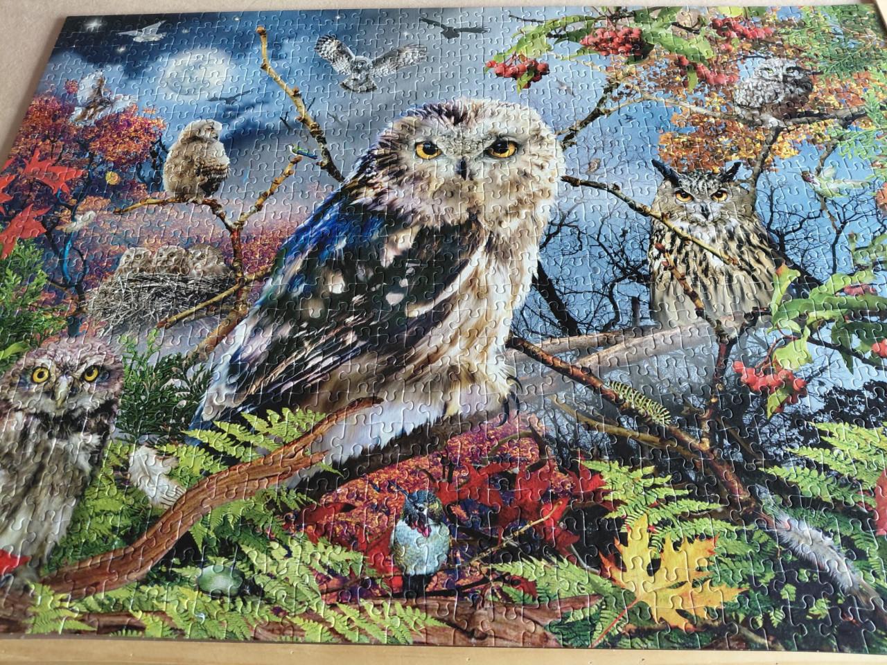 Puzzel met uil