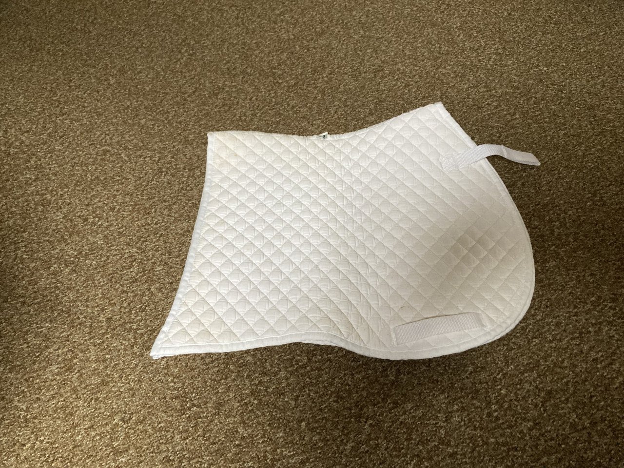 Paardrijkleding