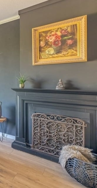 Mooi decoratief haardscherm