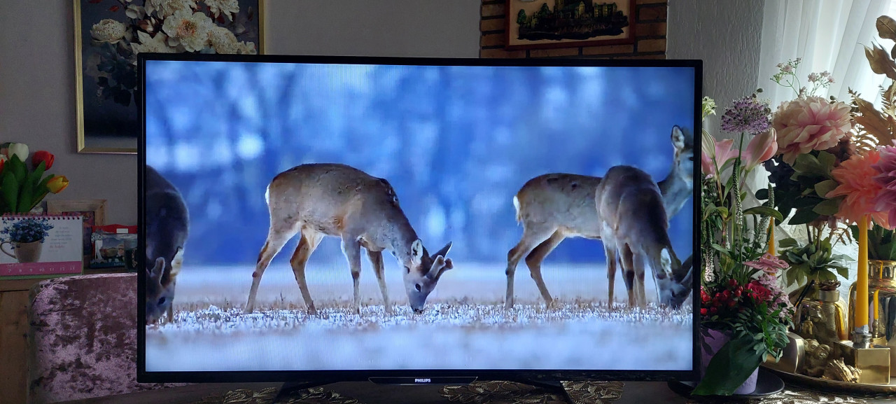Philips TV