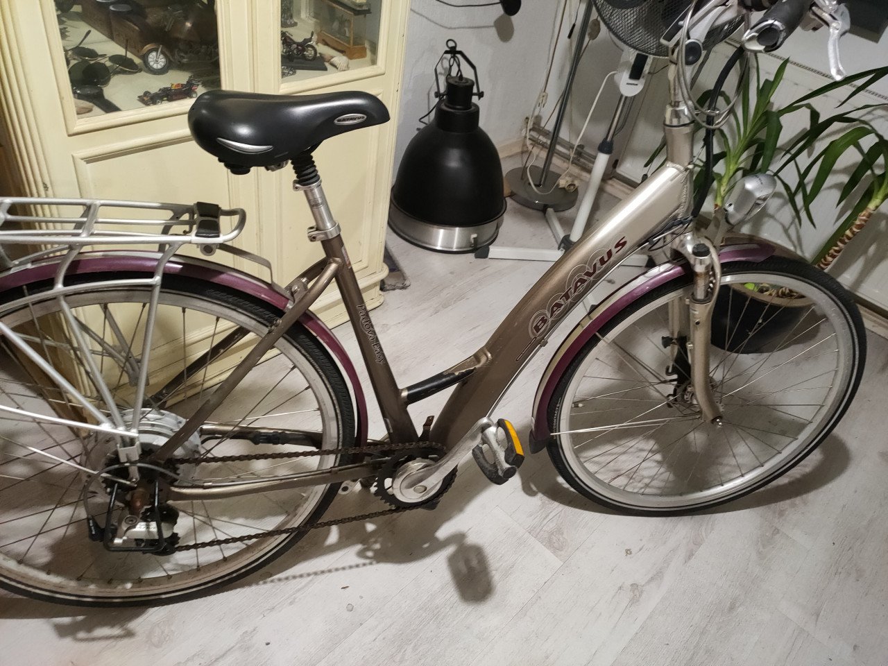 Fiets dames