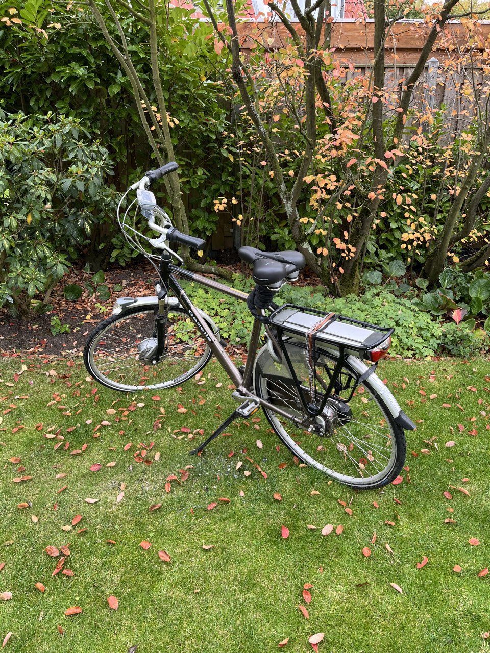 Gazelle Excellent Innergy