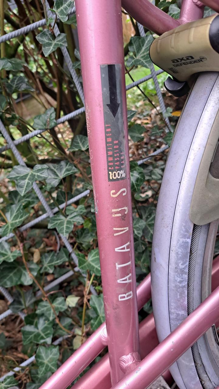 Batavus Mambo damesfiets