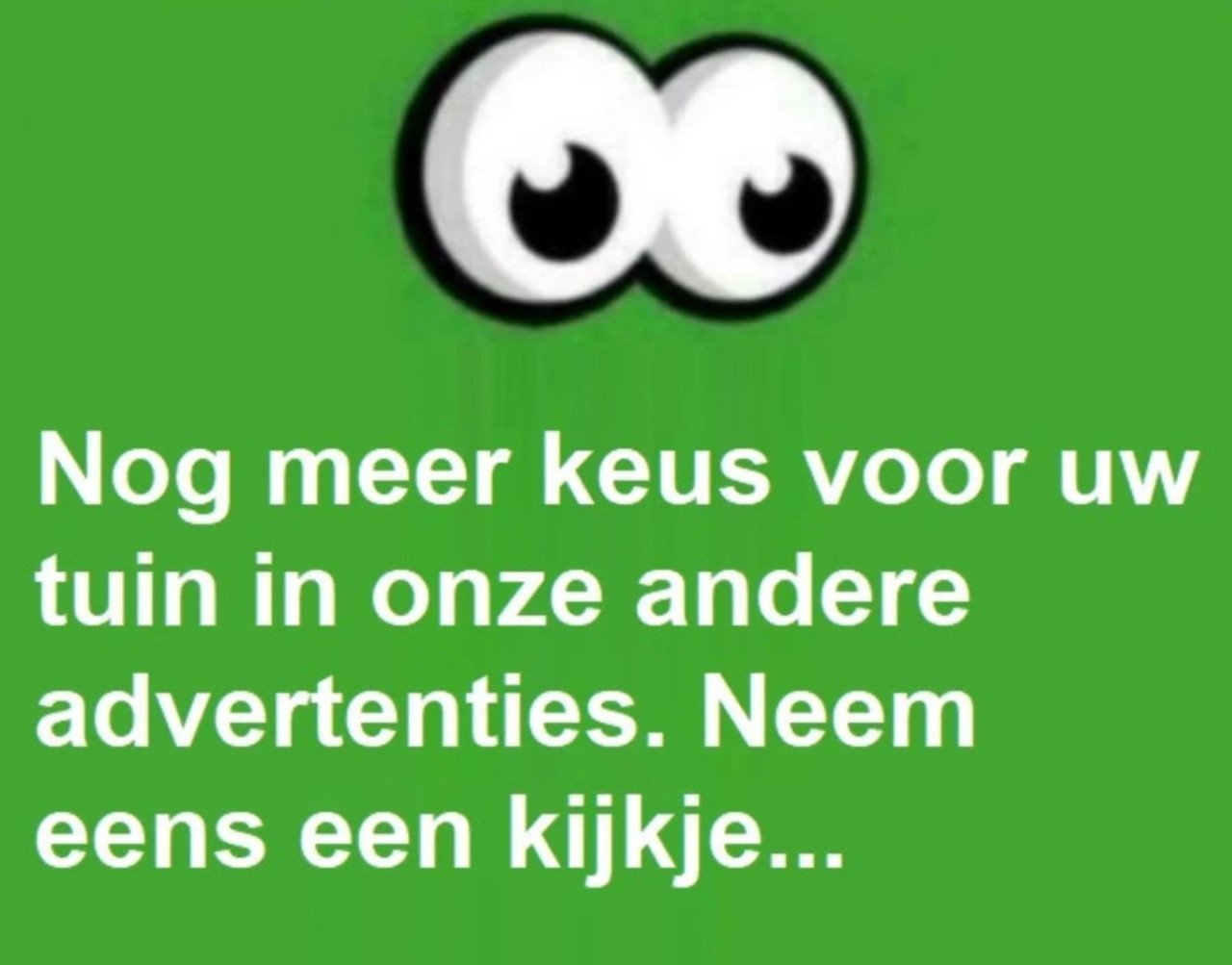 Olijfboom, palmboom, druivelaar of vijg planten