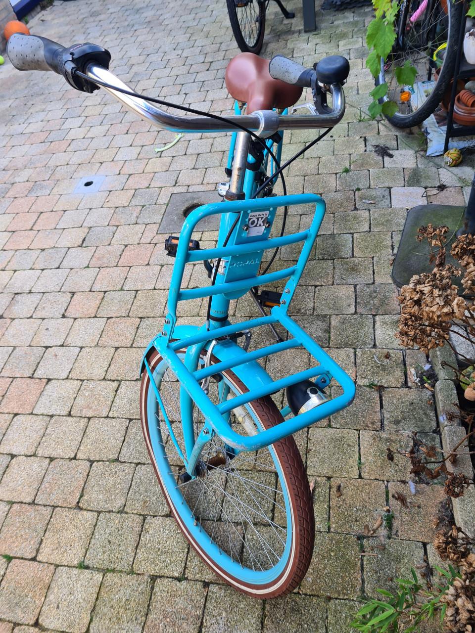 Popal Daily Dutch transportfiets 24 inch