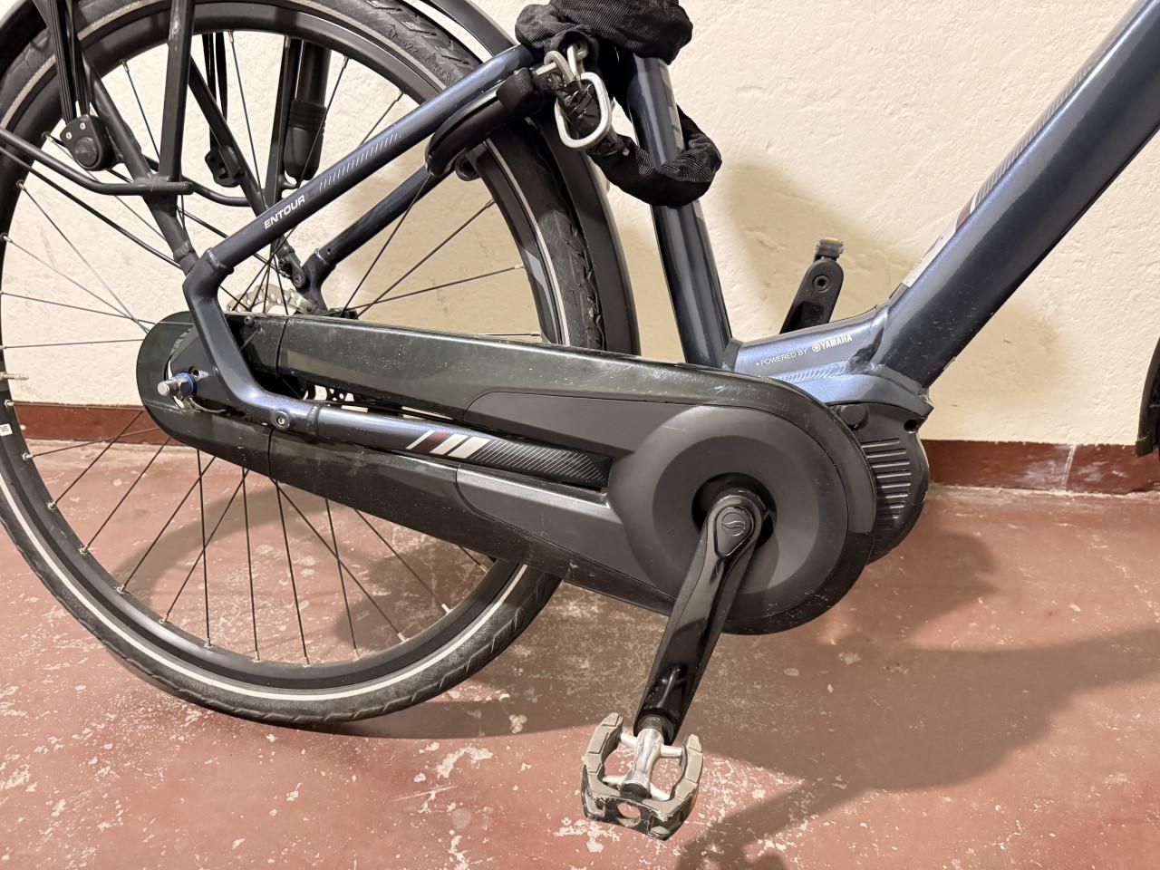 In nieuwe staat Giant Damesfiets met 2 accu’s