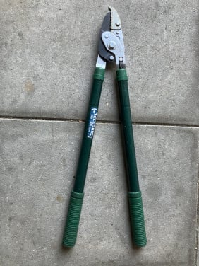 Telescoop snoeischaar